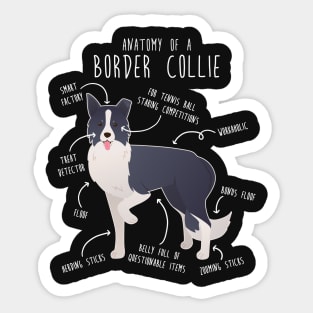 Border Collie Dog Anatomy Sticker